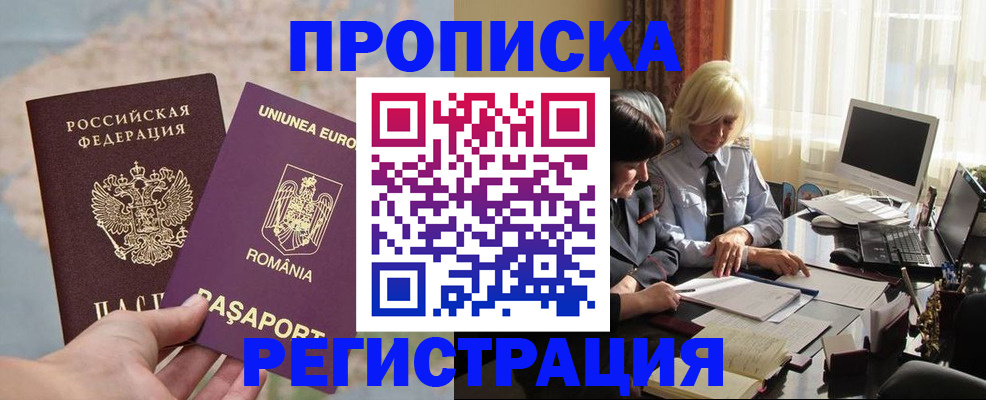 прописка 2025 в Звенигово